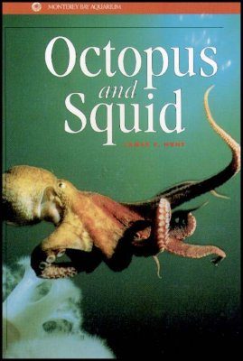 Octopus and Squid