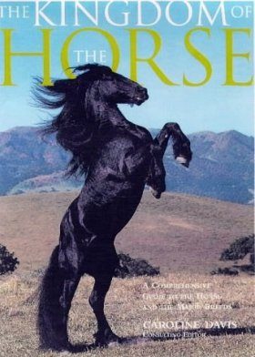 The Kingdom of the Horse