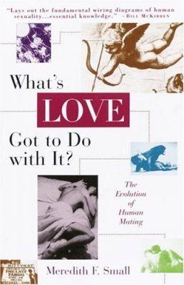 What's Love Got to Do With It?