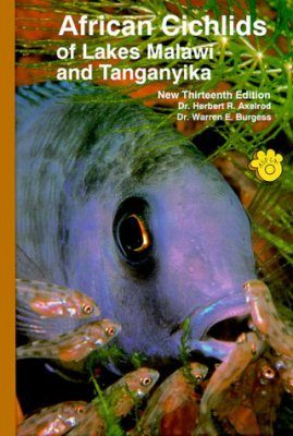African Cichlids of Lakes Malawi and Tanganyika