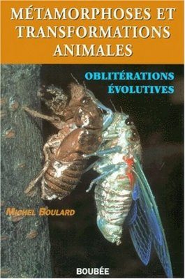Métamorphoses et Transformations Animales