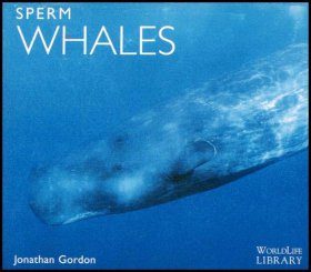 Sperm Whales