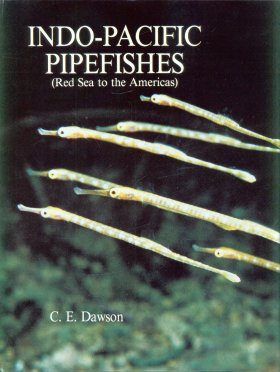 Indo-Pacific Pipefishes