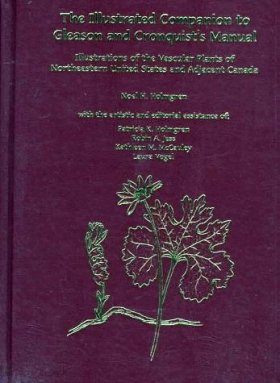 The Illustrated Companion to Gleason and Cronquist's Manual