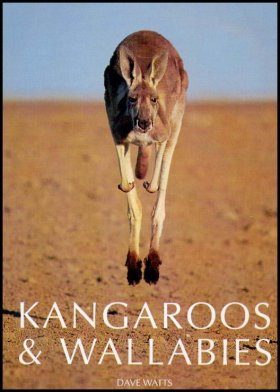 Kangaroos and Wallabies of Australia