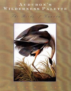 Audubon's Wilderness Palette