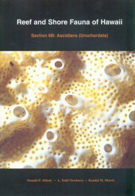Reef and Shore Fauna of Hawaii, Section 6B: Ascidians (Urochordata)