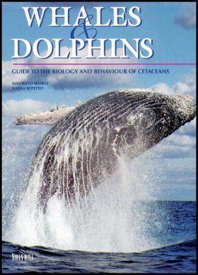 Whales and Dolphins