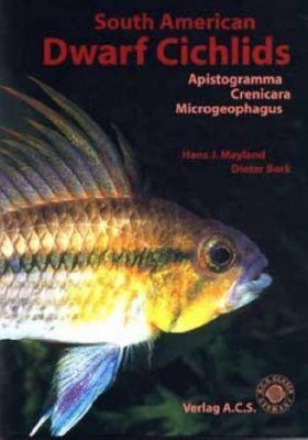 South American Dwarf Cichlids
