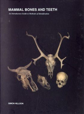 Mammal Bones and Teeth