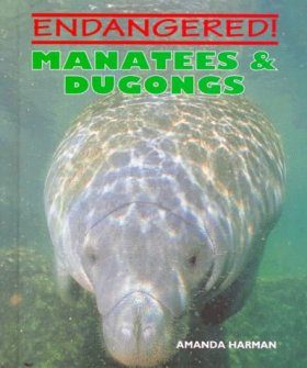 Manatees and Dugongs