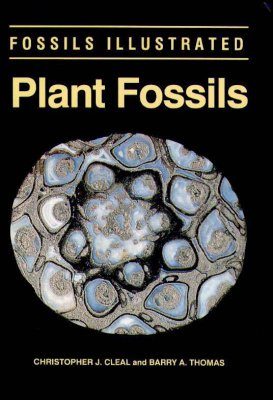 Plant Fossils