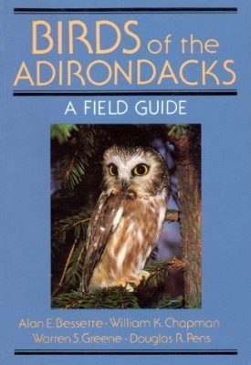 Birds of the Adirondacks