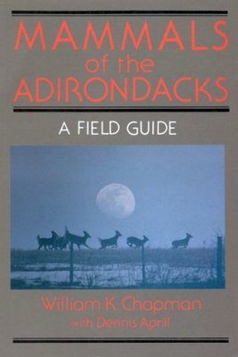 Mammals of the Adirondacks