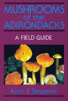 Mushrooms of the Adirondacks