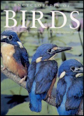 Encyclopedia of Birds