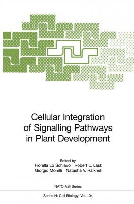 Cellular Integration of Signalling Pathways in Plant Development