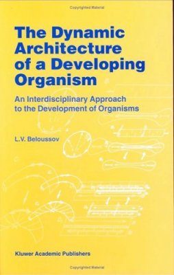 Dynamic Architecture of a Developing Organism