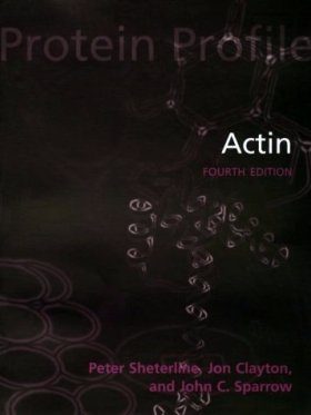 Actin