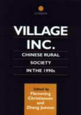Village Inc: Chinese Rural Society in the 1990s