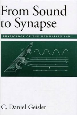 From Sound to Synapse