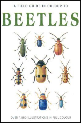 A Field Guide in Colour to Beetles