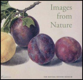 Images from Nature