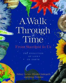 A Walk Through Time: From Stardust to Us