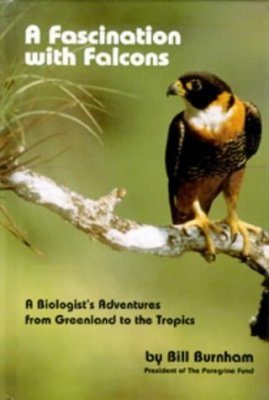 A Fascination With Falcons