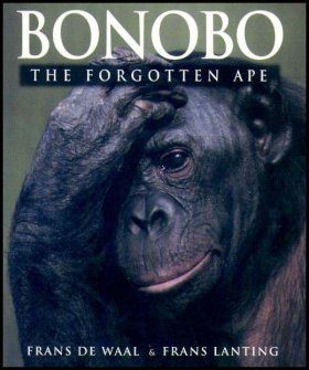 Bonobo: The Forgotten Ape