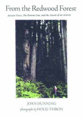 From the Redwood Forest
