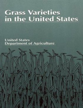 Grass Varieties in the United States