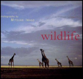 Wildlife