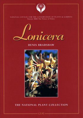 Lonicera: Climbing Honeysuckles