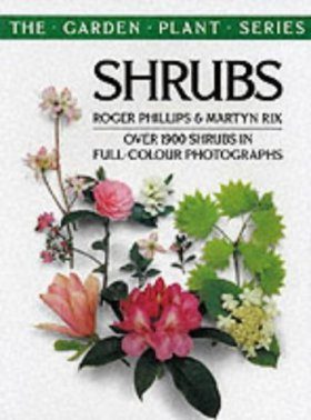 Shrubs