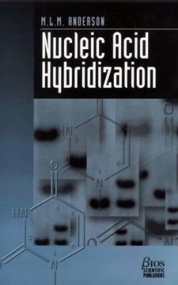 Nucleic Acid Hybridization