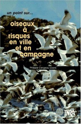 Oiseaux à Risques en Ville et en Campagne