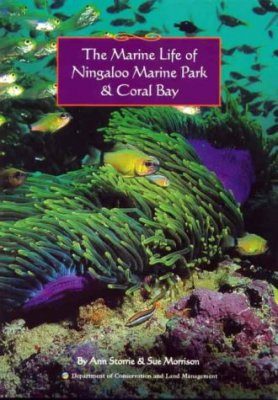 The Marine Life of Ningaloo Marine Park and Coral Bay