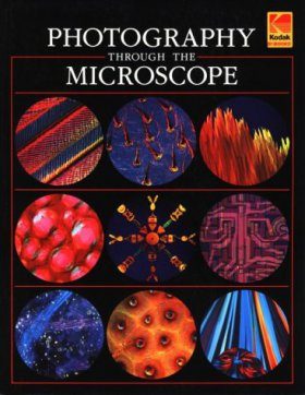 Photography Through the Microscope