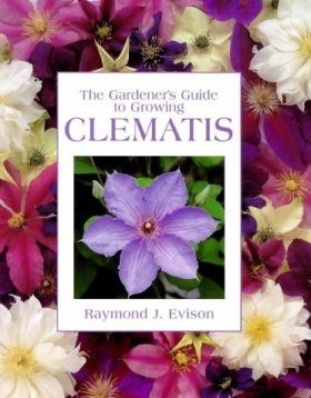 The Gardener's Guide to Growing Clematis