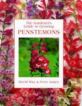The Gardener's Guide to Growing Penstemons
