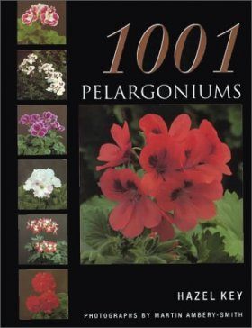 1001 Pelargoniums