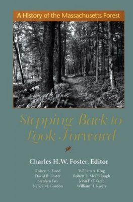 Stepping Back to Look Forward
