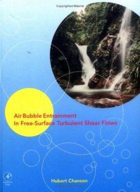 Air Bubble Entrainment in Free-Surface Turbulent Shear Flows