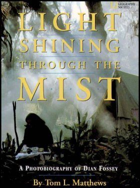 Light Shining Through the Mist