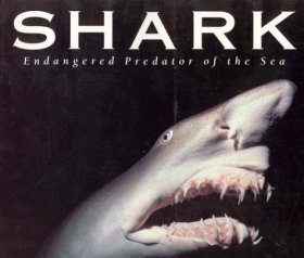 Shark: Endangered Predator of the Sea