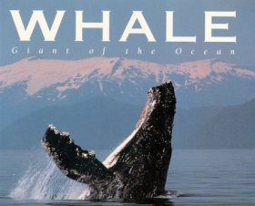 Whale: Giant of the Ocean