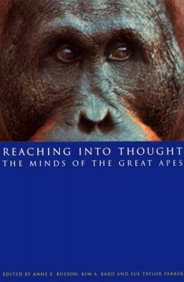 Reaching into Thought