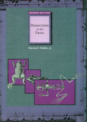 Dissection of the Frog