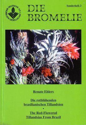 The Red-Flowered Tillandsias from Brazil / Die Rotblühenden Brasilianischen Tillandsien